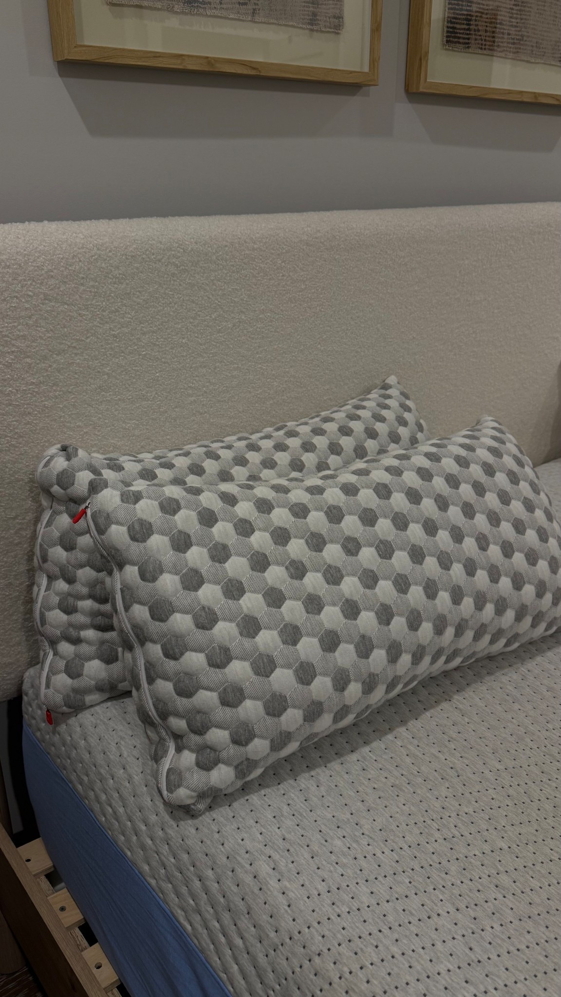 BEST pillows ever! Thank you Amazon ❤️


Best pillows, sleep, bedding 

#LTKdayinmylife #LTKselfcare #LTKmorningroutine