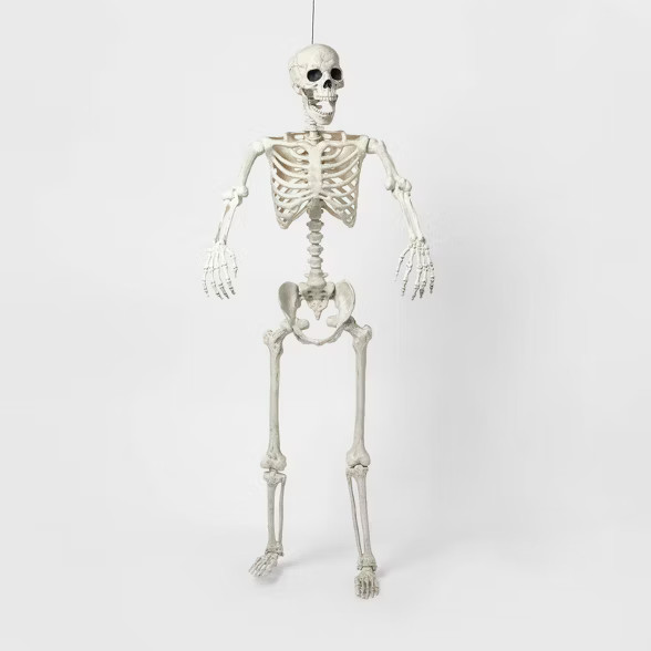 60" Posable Lifesize Skeleton XL Halloween Decorative Mannequin - Hyde & EEK! Boutique... | Target