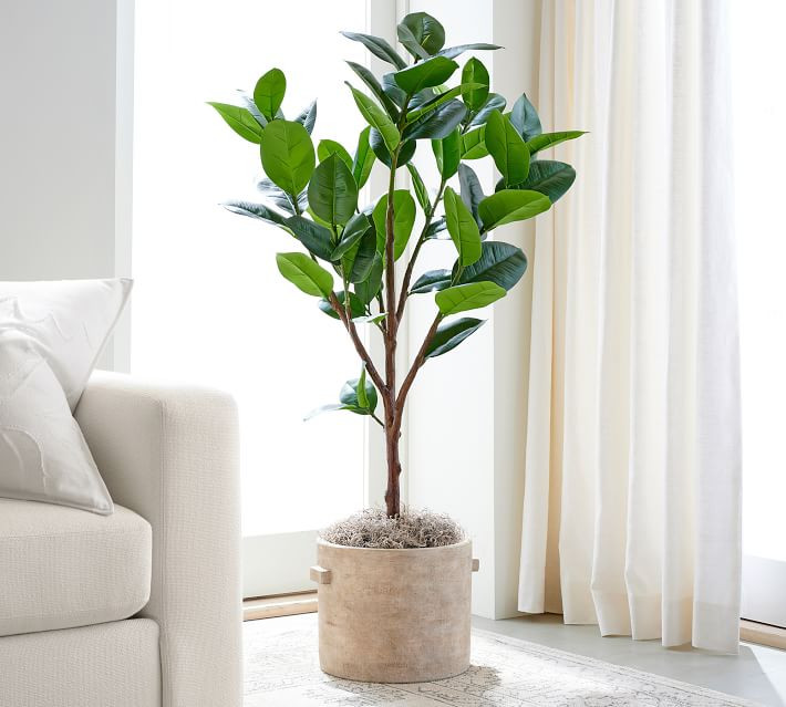 Maya Terra Cotta Planter | Pottery Barn (US)