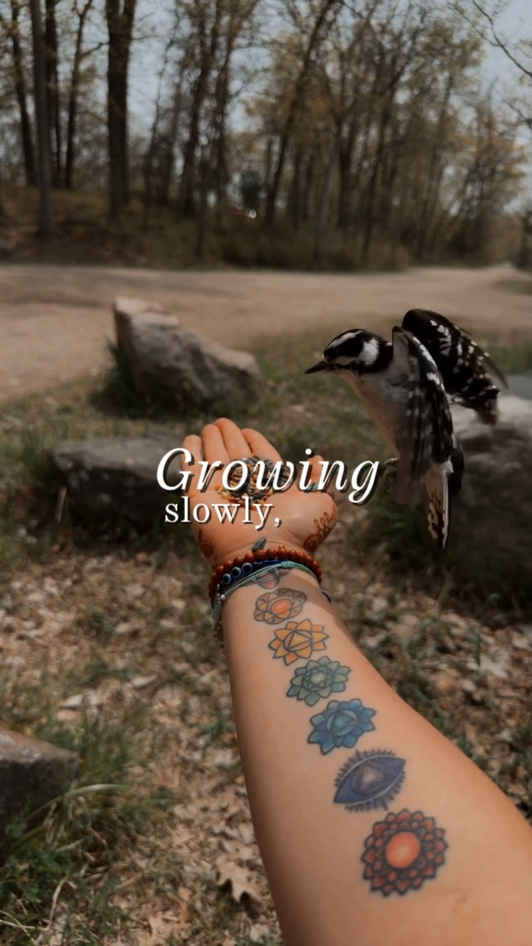 Birdwatching is for cool kids 😎🪶🕊️

#selfcare #natureiscool #birdsoftiktok #birdwatching #birdfeeding 

#LTKdayinmylife #LTKActive #LTKselfcare