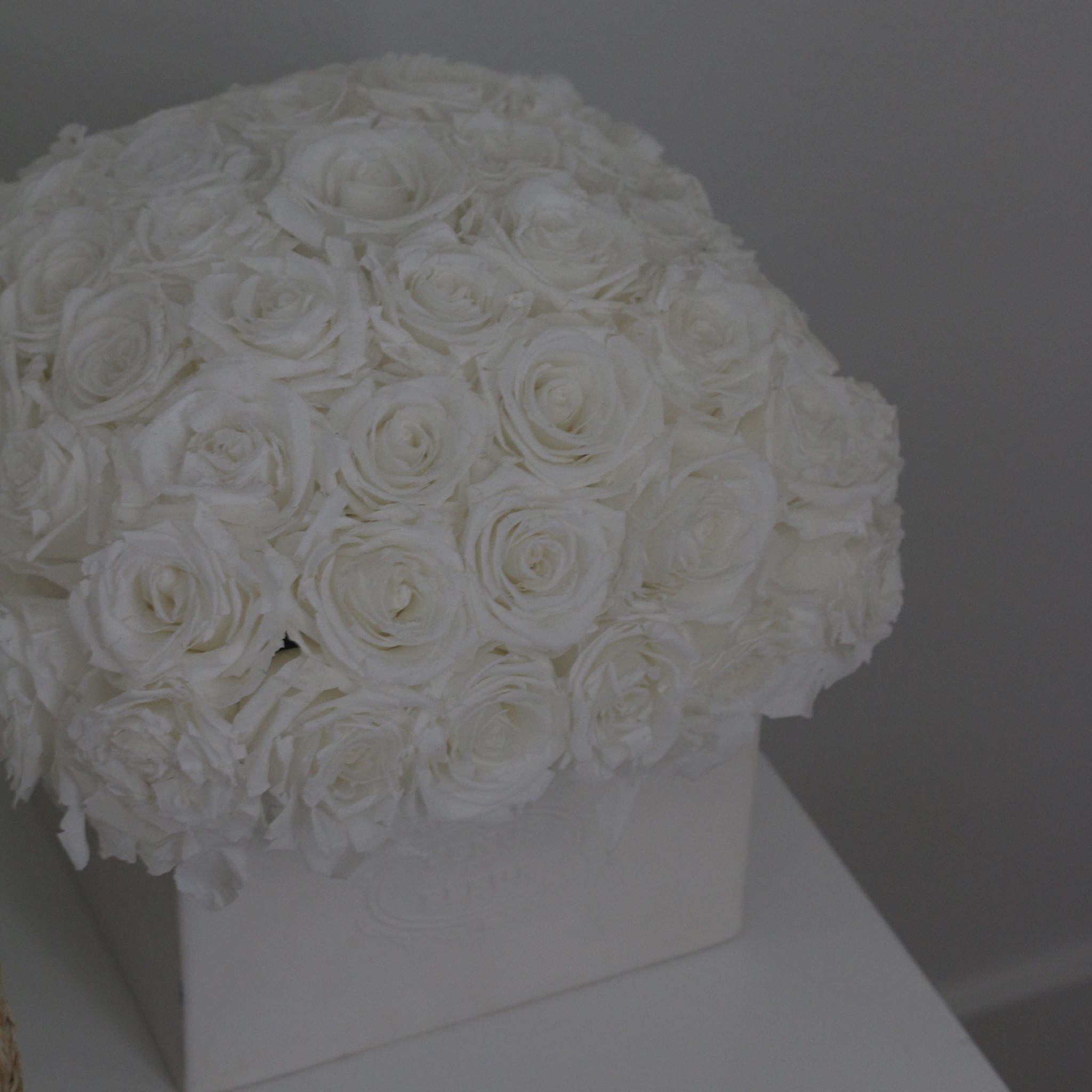 Side Table beauty 

#LTKhome #LTKfamily #LTKbeauty