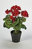 Worth Imports 14" 7 Head Faux 4" Moss, Red Geranium Pot | Amazon (US)