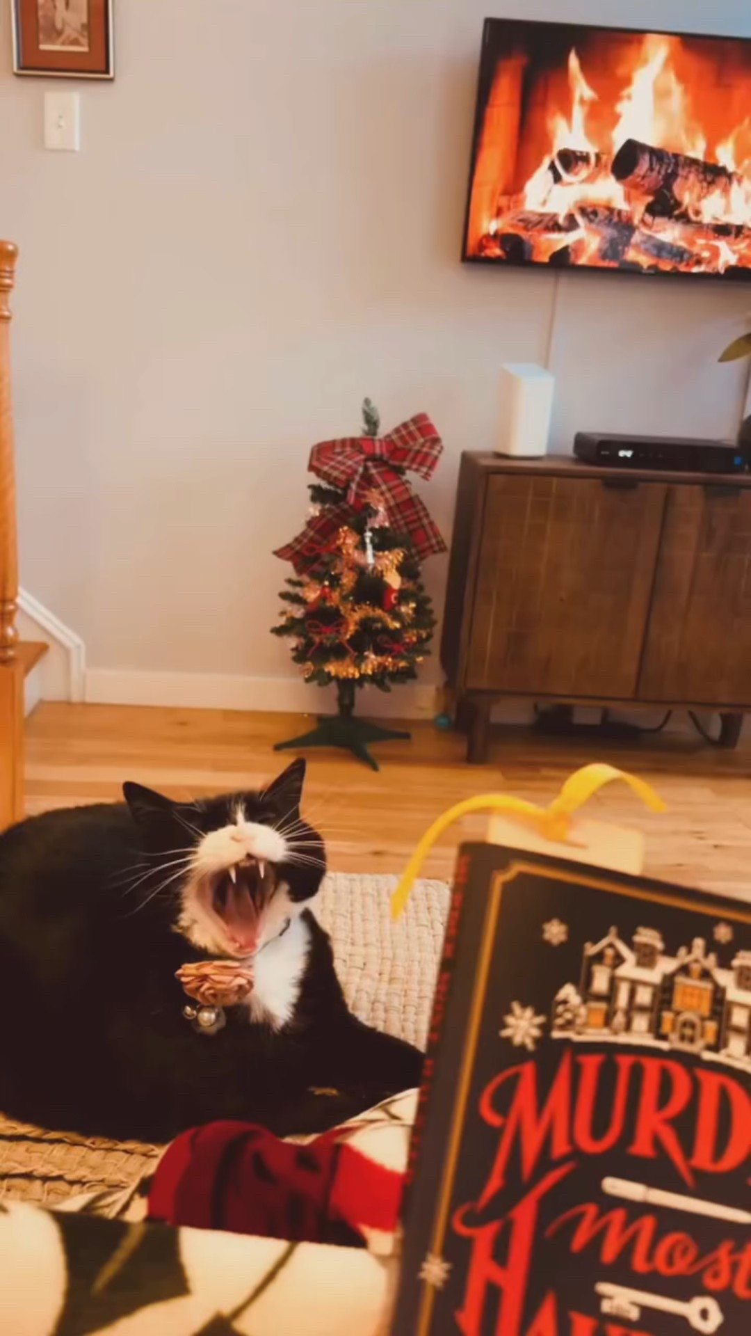 pov: you’ve just discovered the crackling fireplace on YouTube, you’re chores are done for the day and it’s snowing outside 🫶🏻 

#LTKmorningroutine #LTKdayinmylife #LTKHoliday