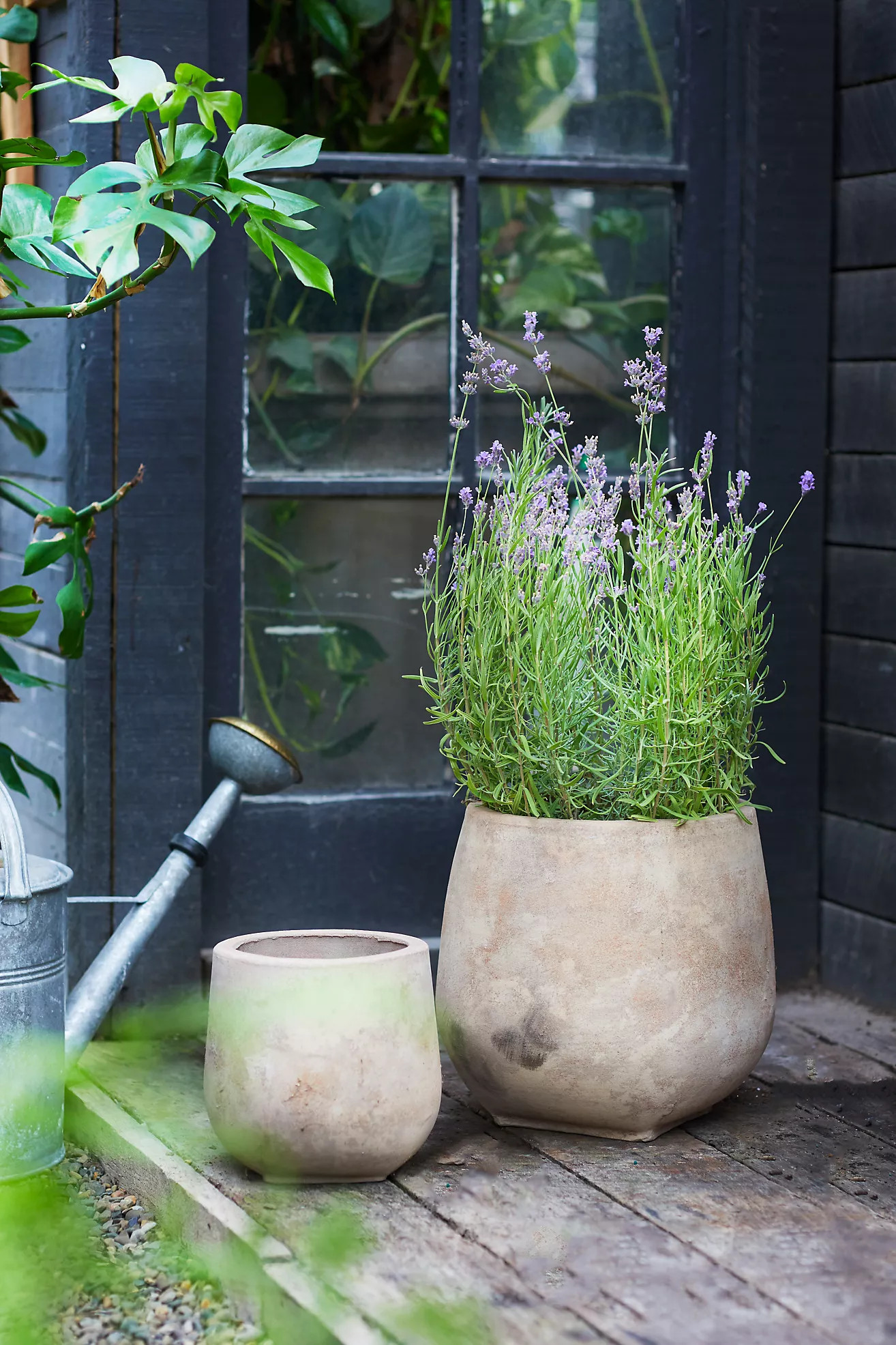 $48.00 | Anthropologie (US)