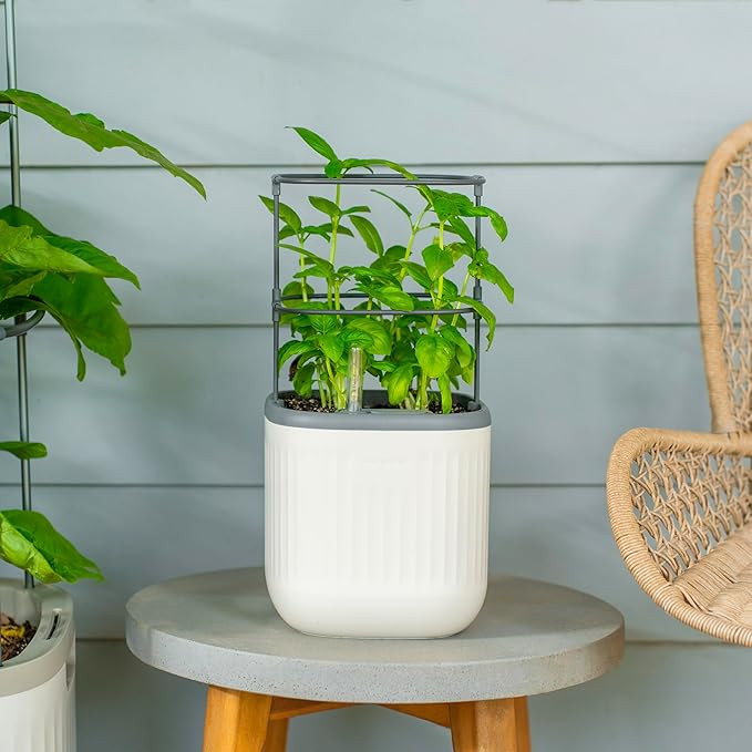 Vego garden Mini Planter Indoor Pots with Trellis Self-Watering Herb Countertop Planter for Climb... | Amazon (US)