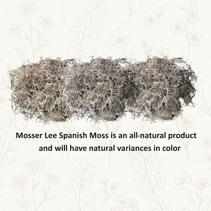 Mosser Lee Spanish Moss \u2013 Natural Decorative Moss for Houseplants, Soil Cover, Crafts, Terra... | Amazon (US)