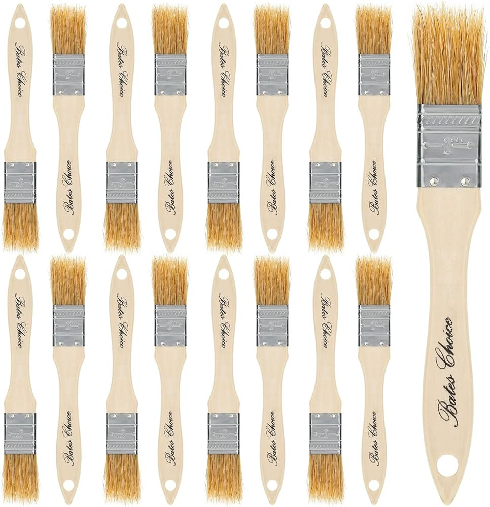 Bates- Chip Paint Brushes, 1-Inch, 16 Pack, Natural Bristle Painting Brushes, 1 Inch Paint Brush,... | Amazon (US)
