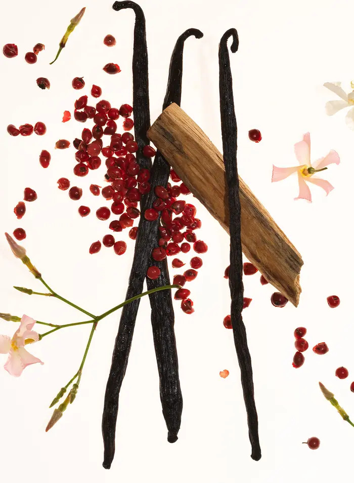 Vanilla Skin Eau de Parfum | Nordstrom