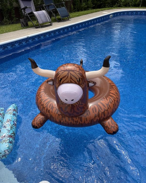 Favorite thing I spotted over the holiday weekend: this $18 inflatable Longhorn cow pool float from @tractorsupply - never ordered anything so fast!!
