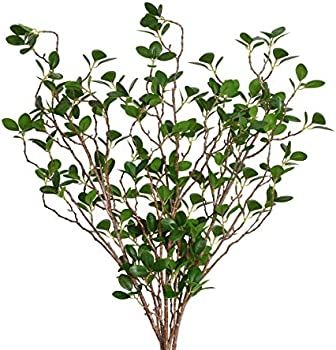 Sunm boutique Artificial Ficus Branches Leaf Spray, Faux Silky Ficus Tree Twig, Banyan Branches R... | Amazon (US)