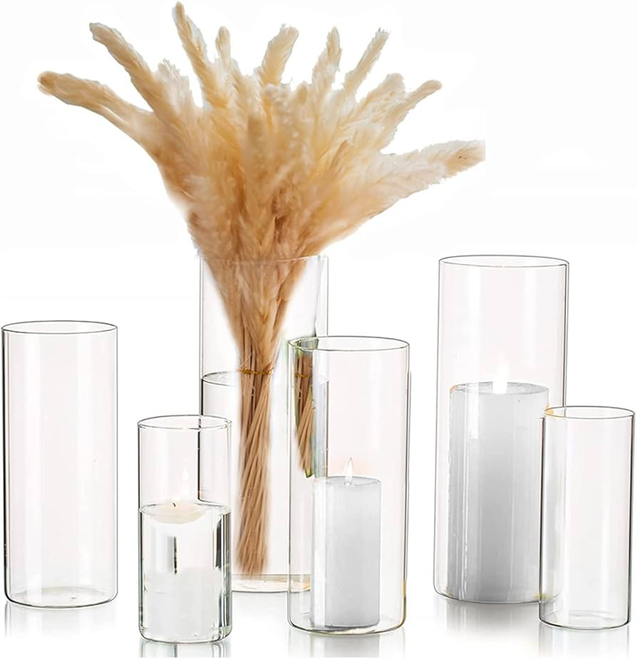 Cylinder Vase for Centerpieces 2 Sets (6Pcs) Hurricane Floating Candle Holder, Glass Vases for Fl... | Amazon (US)