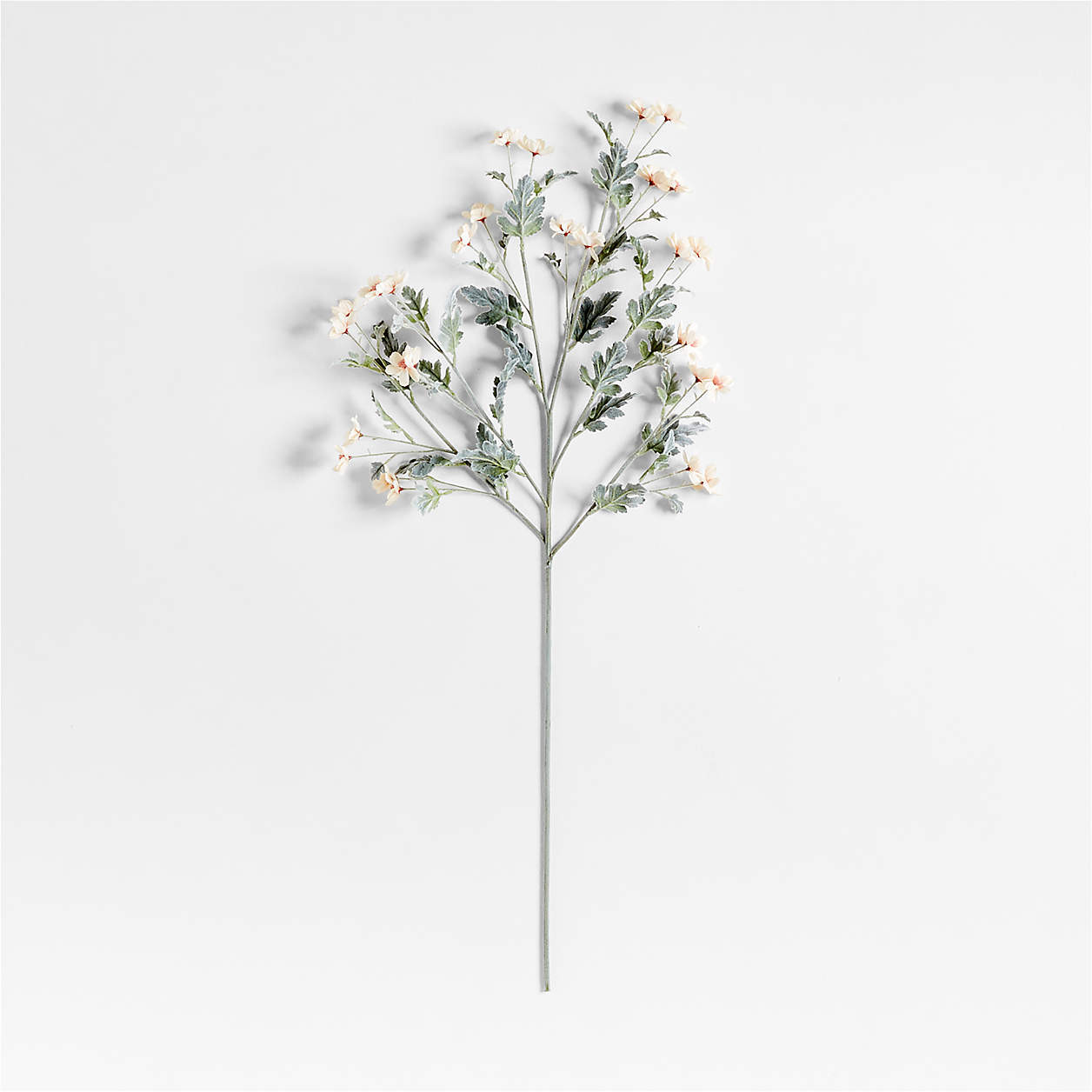 Faux Peach Cosmo Spray 40" by Abigail Ahern + Reviews | Crate & Barrel | Crate & Barrel