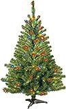 National Tree Company Pre-Lit Artificial Medium Christmas Tree, Green, Kincaid Spruce, Multicolor... | Amazon (US)