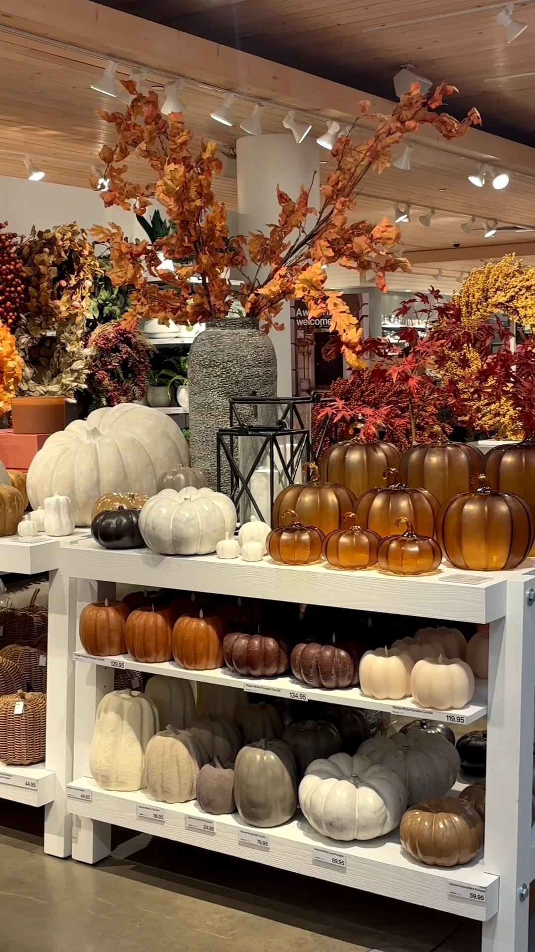 These are the taper candles I’ll be using on repeat this fall! Right now they’re on sale for $6.36 for a set of two so stock up! ✨

#crateandbarrel #candles #falldecor

#LTKfall #LTKhome #LTKstyletip