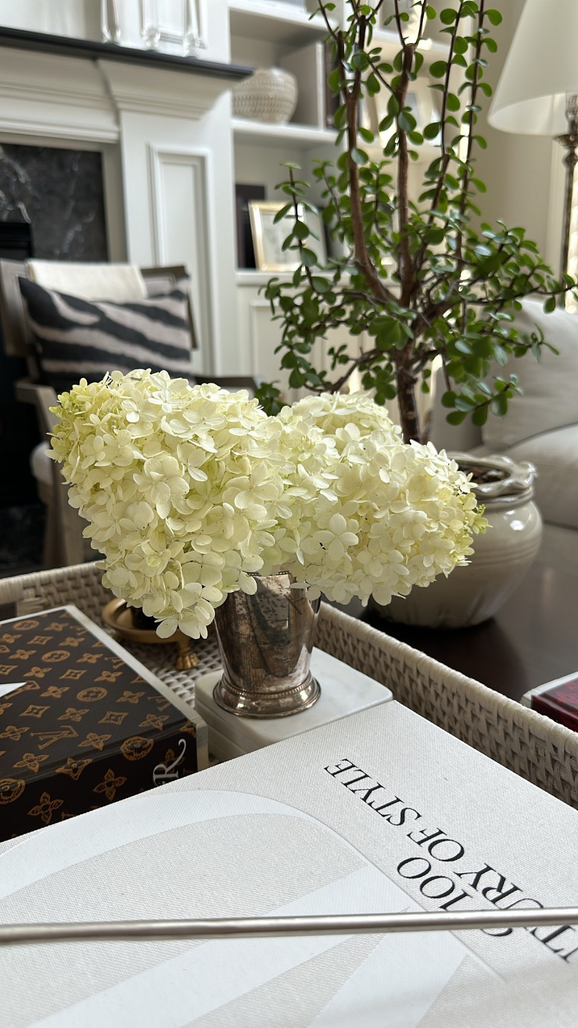My favorite silver plated cups 🤍 
Multiple uses:
-Flower vase 
-Makeup brushes 
-Pens & pencils 


#LTKHome #LTKFindsUnder100 #LTKStyleTip