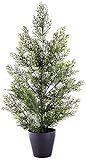Amazon.com: Nearly Natural 2ft. Mini Cedar Pine (Indoor/Outdoor) Silk Trees Green : Home & Kitche... | Amazon (US)