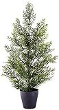 Amazon.com: Nearly Natural 2ft. Mini Cedar Pine (Indoor/Outdoor) Silk Trees Green : Home & Kitche... | Amazon (US)