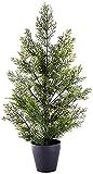 Amazon.com: Nearly Natural 2ft. Mini Cedar Pine (Indoor/Outdoor) Silk Trees Green : Home & Kitche... | Amazon (US)