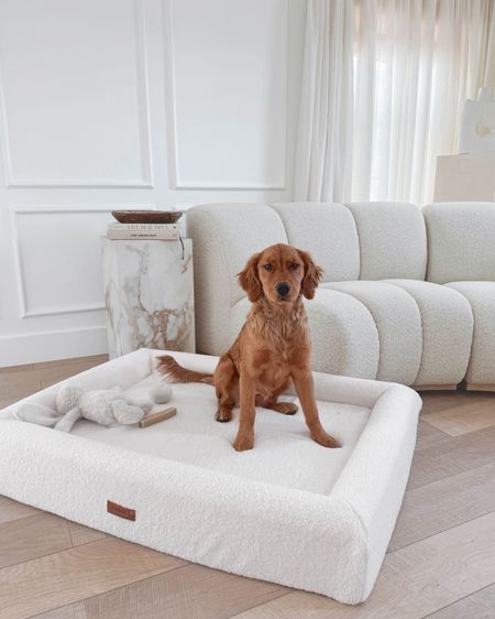 Thank you @fenwickpets for designing the most beautiful pet beds that blend seamlessly with my home decor! It's so hard to find a cute one online 🙅‍♀️

Sammie loves her Teddy Bed & it's her favorite place to snuggle up & play with her emotional support bunny 🐰🤍🥹
 
This exact bed isn't available on LTK - but search for the Teddy Bed by Fenwick Pets. Linked similar here though! 

#dogbed #bouclé #boucledogbed #aestheticpets

#LTKfamily #LTKsalealert #LTKhome