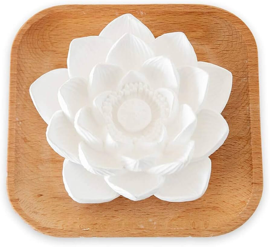 Plant Therapy Passive Lotus Flower Aromatherapy Diffuser - A Chic and Natural Home, Office, and T... | Amazon (US)