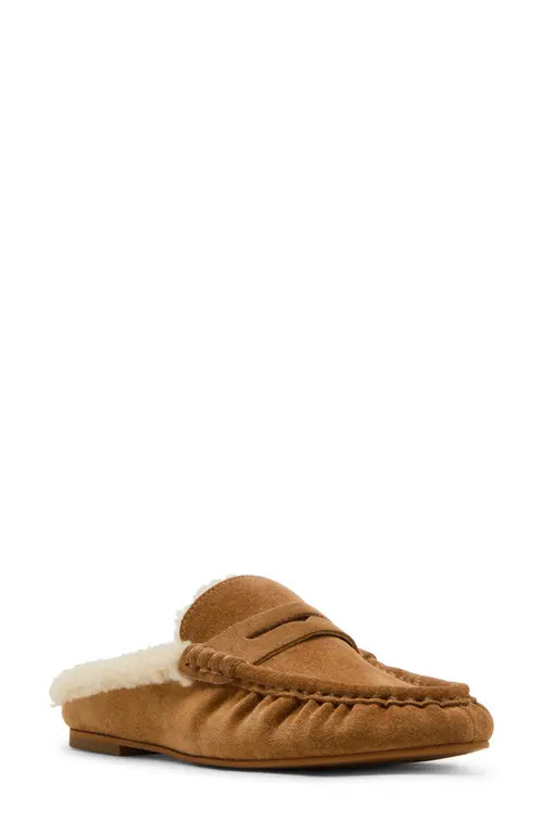 Steve Madden Rafe Genuine Shearling Mule in Tan Suede at Nordstrom, Size 11 | Nordstrom