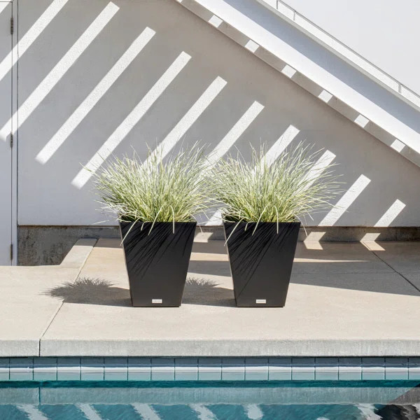 Pure Series Plastic Pot Planter | Wayfair North America