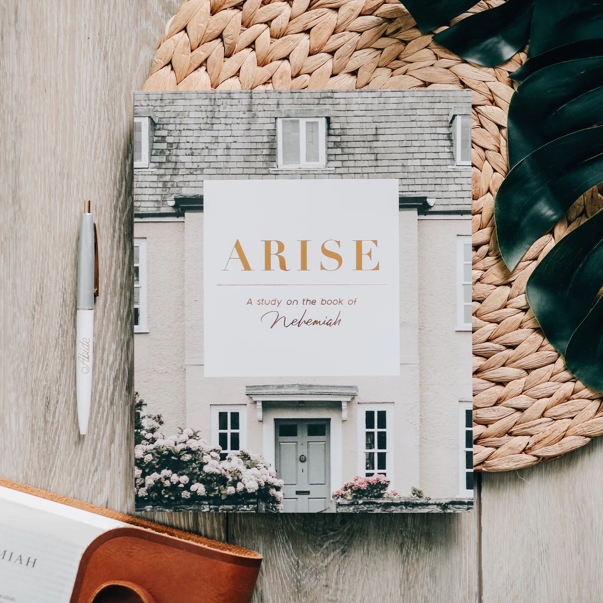 Arise | Nehemiah Study | The Daily Grace Co.