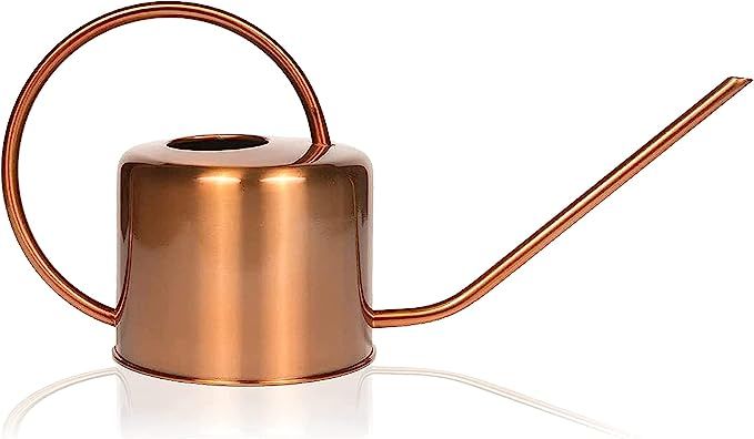 Homarden Copper Watering Can (40oz) - Small Watering Can for Indoor Plants, House Plant, Snake Pl... | Amazon (US)
