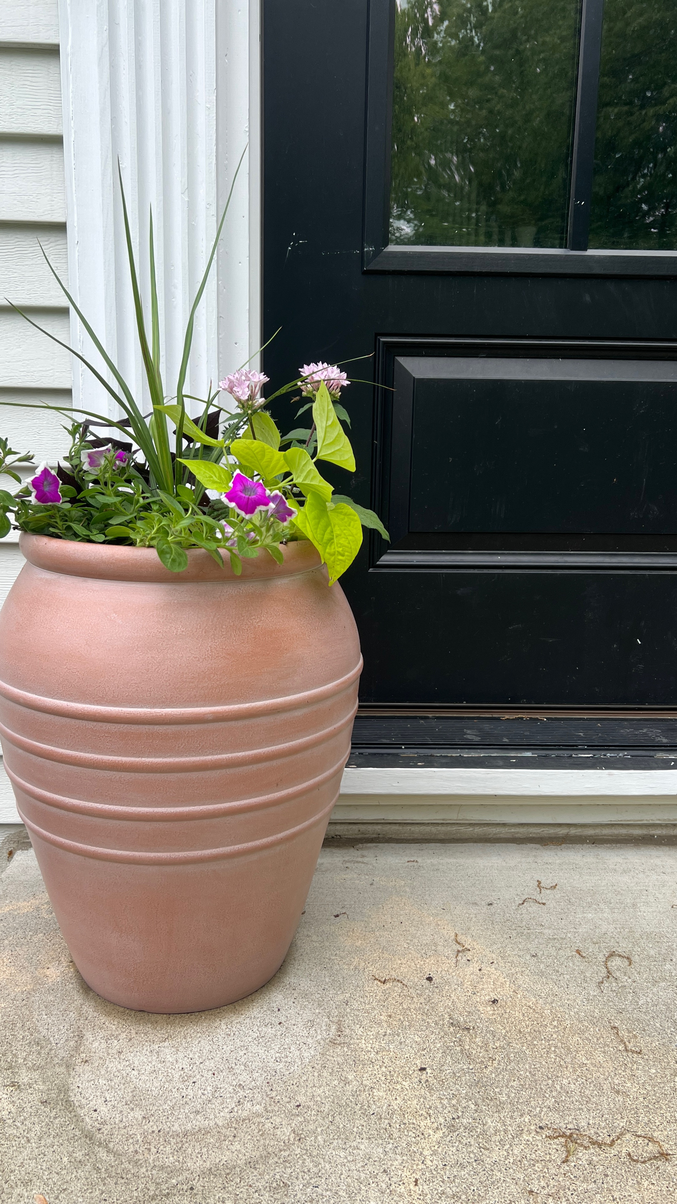 Shop my new Threshold planter pots from Target.  Love the washed terracotta color and love the sale price even more!

#LTKSeasonal #LTKFindsUnder50 #LTKHome