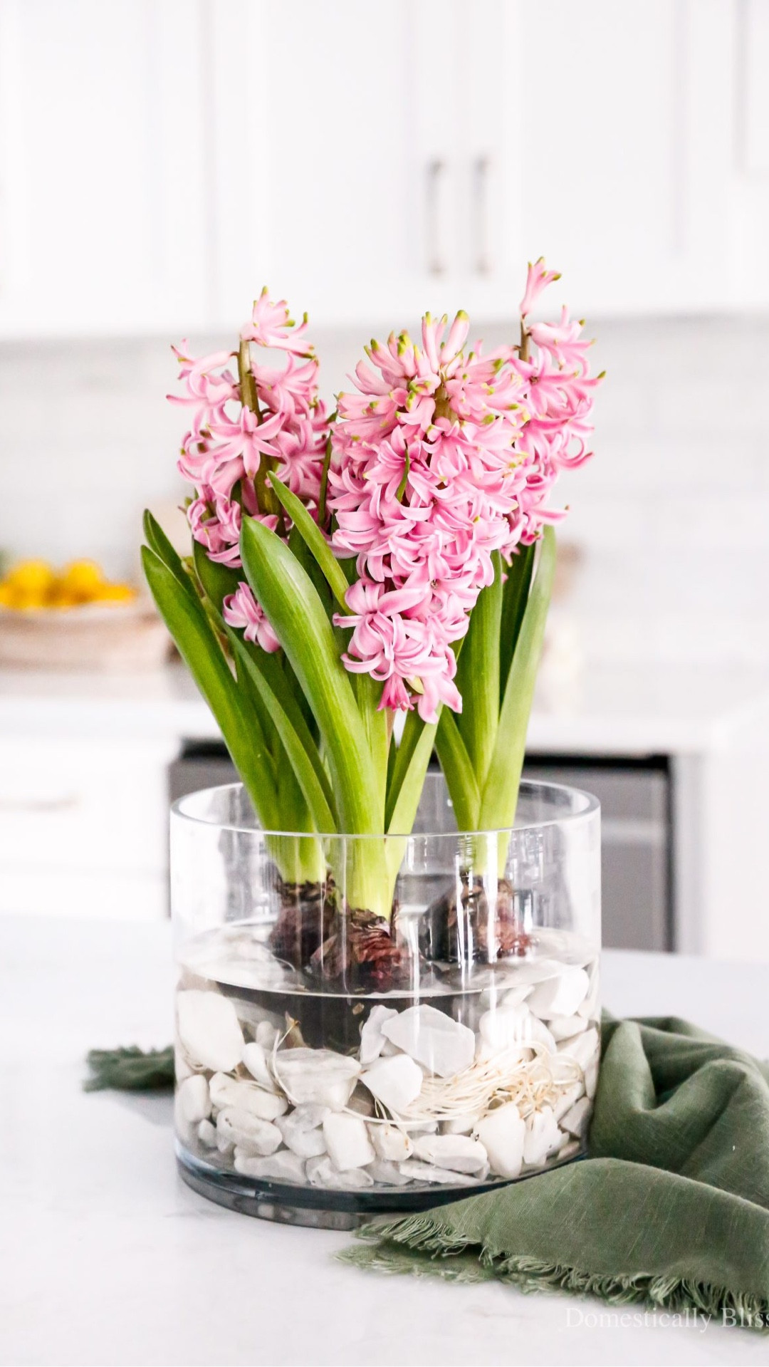 This Hyacinth Bulbs Centerpiece is so fun to watch bloom and fills your home with the scent of spring.

See details:
https://domesticallyblissful.com/hyacinth-bulbs-centerpiece/



#LTKHome #LTKSeasonal #LTKvlog