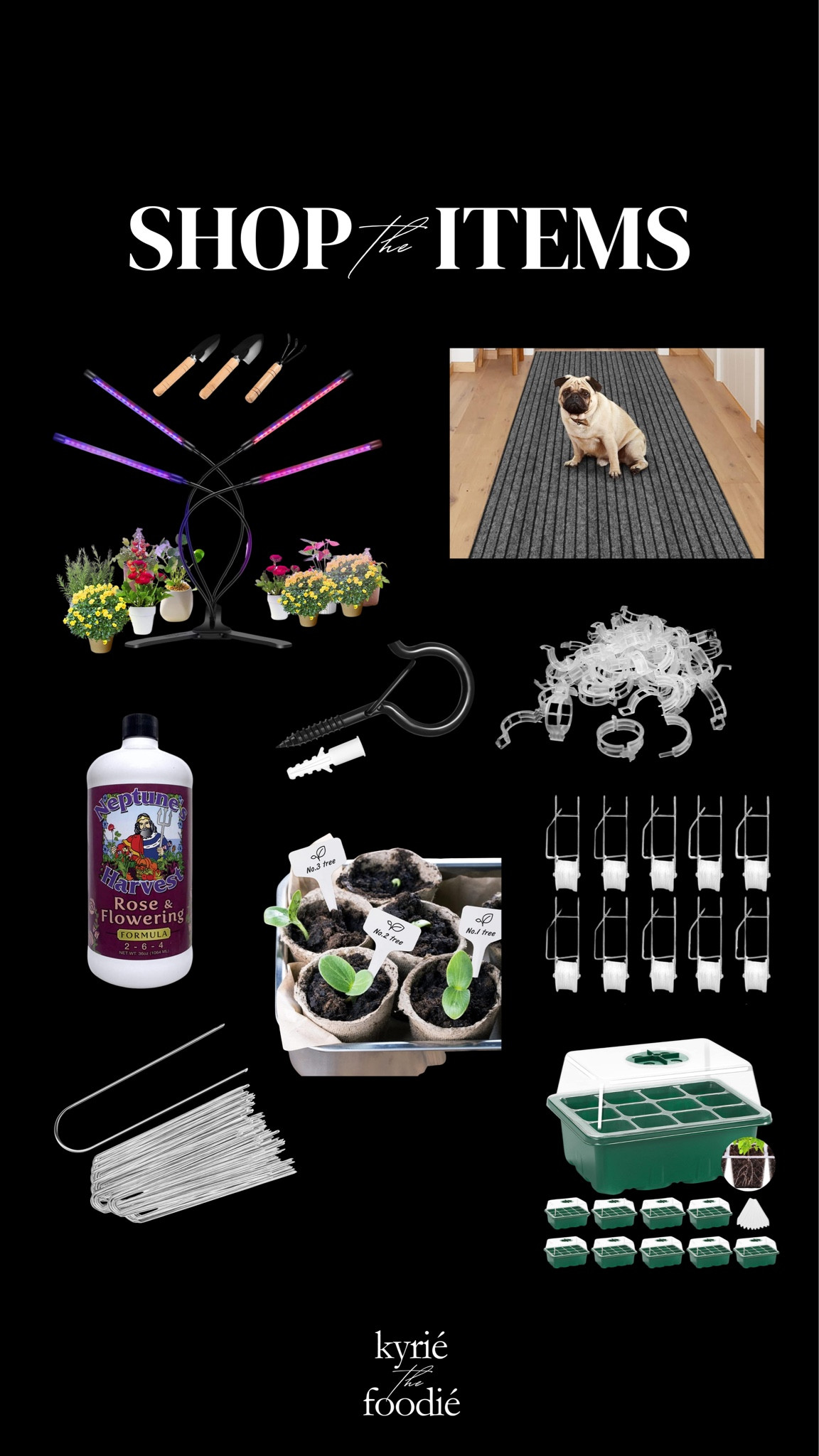 All of Jeff’s recommended essentials for gardening!

#LTKSeasonal #LTKVideo #LTKhome