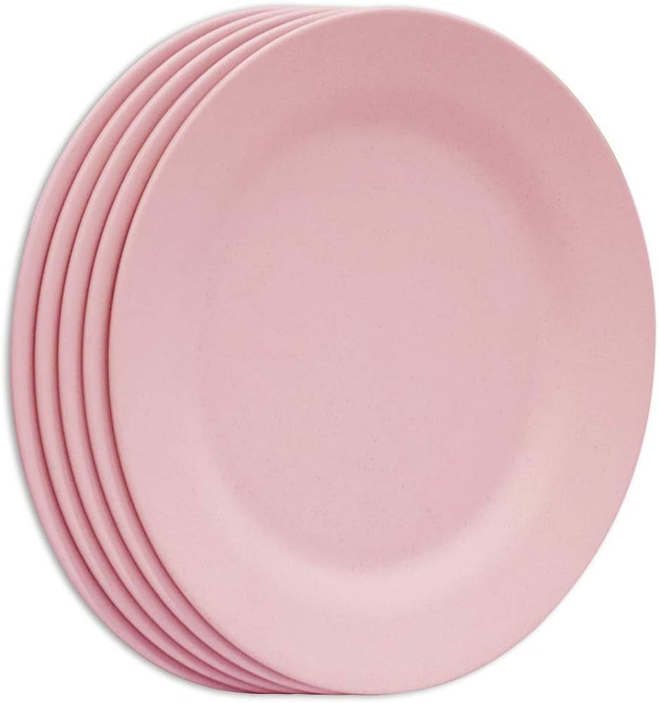 11 Inch Dinner Plate Set, Extra Large Pasta Plates, Unbreakable Dishes, Lightweight Wheat Straw S... | Amazon (US)