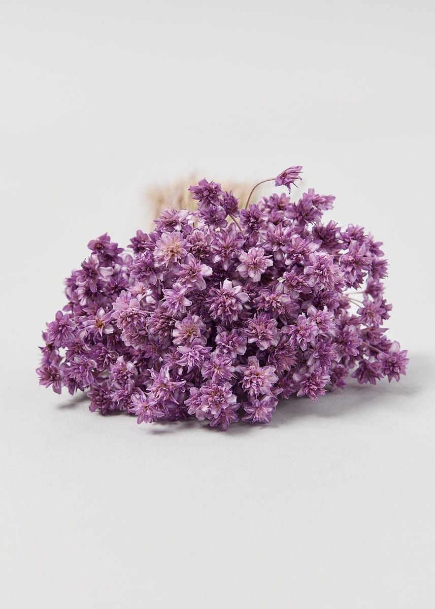 Lilac Misty Dried Hill Flower Bundle - 17-21" | Afloral