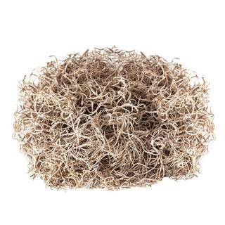 Natural Spanish Moss by Ashland® | Michaels Stores