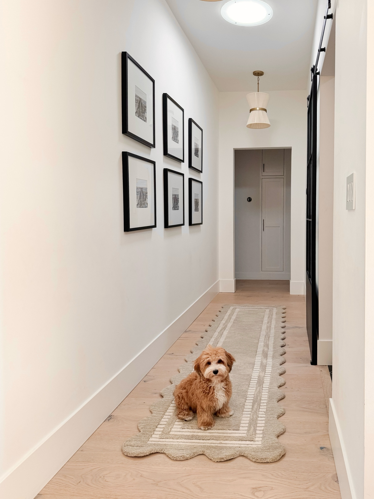 You can re-create this entire hallway look at such an affordable price. Wayfair always has designer looking pieces at great price points The scalloped edge is so good. It looks so luxurious and unique and such a great price point. You can even get a large size rug for only $500. Love the new addition to our hallway!

Black picture frames grey runner Chris loves Julia Wayfair pendant lights hallway lights barn door 

#LTKHome #LTKSaleAlert #LTKFindsUnder100