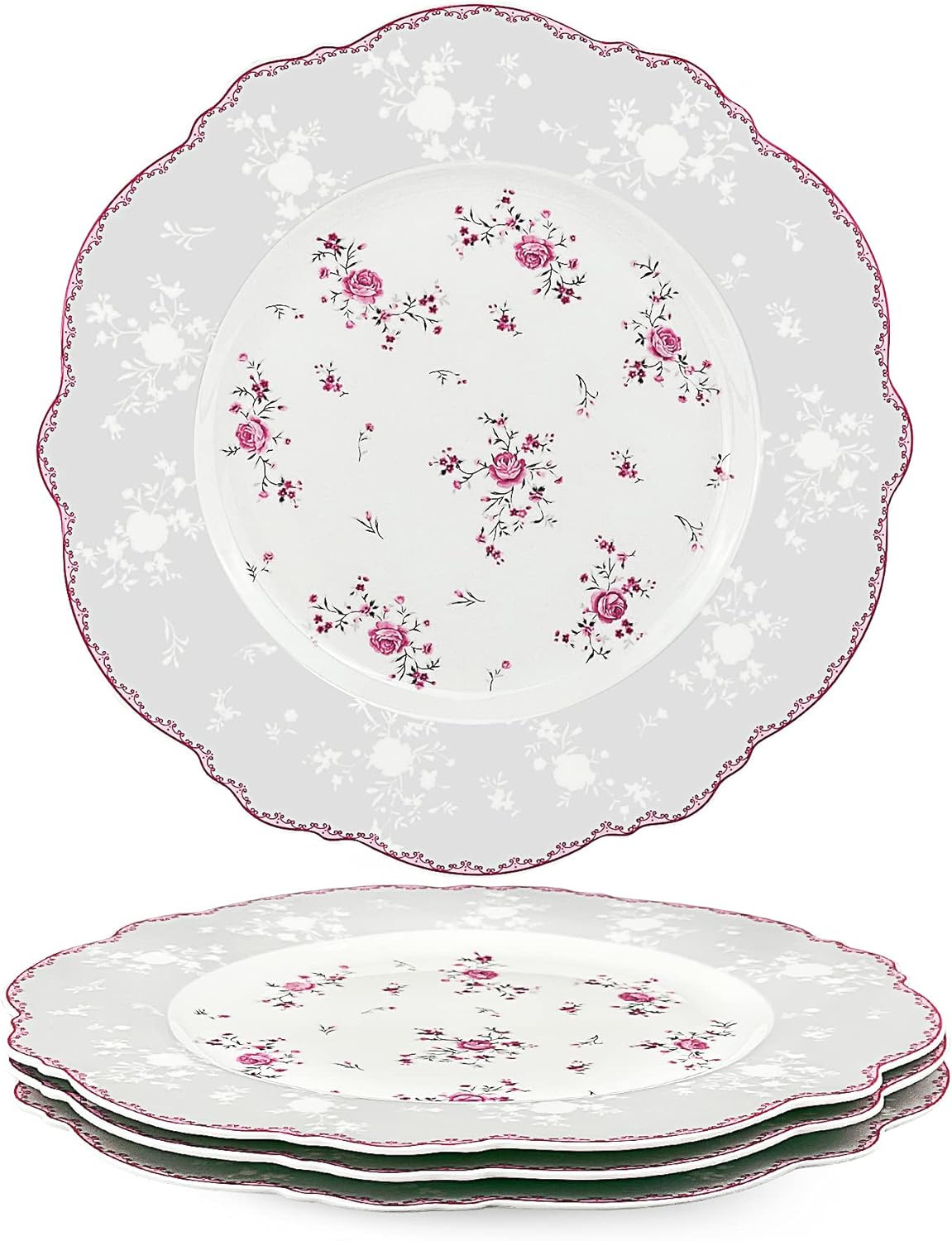 fanquare 10 Inch Porcelain Dinner Plates Set of 4, Lace Dishes Set for Salad, Pasta, Soup, Desser... | Amazon (US)
