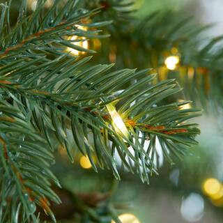 9 ft Elegant Grand Fir LED Pre-Lit Artificial Christmas Tree with 3000 Warm White Micro Dot Light... | The Home Depot