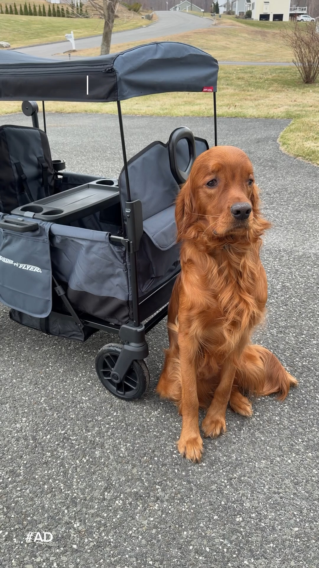 The best stroller wagon! 

#LTKmomlife #LTKfitnessgoals #LTKmorningroutine