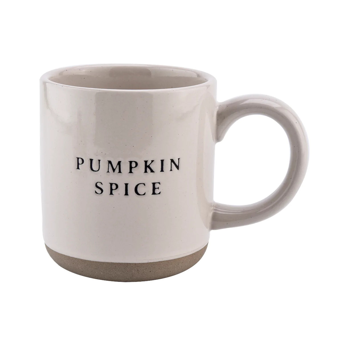 Pumpkin Spice Stoneware Coffee Mug | Sweet Water Decor, LLC