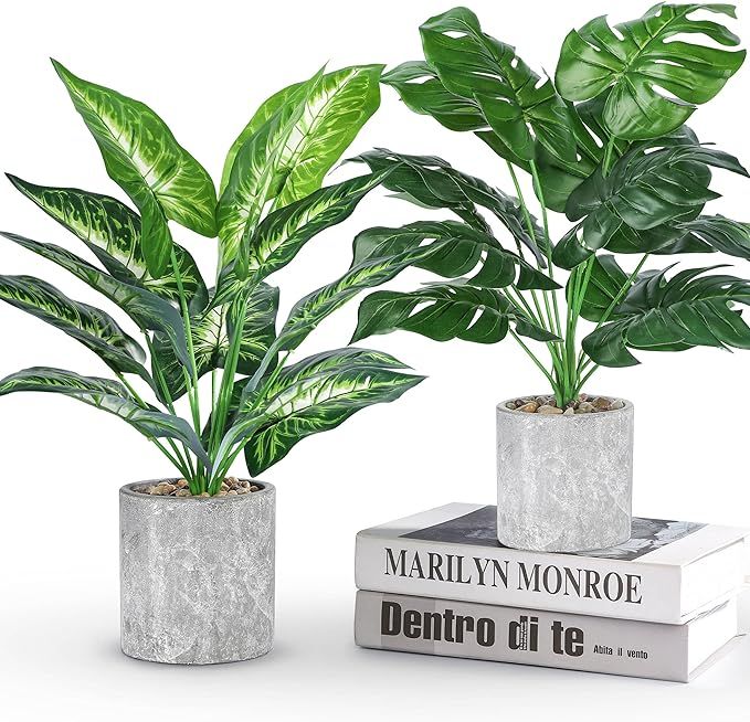 Der Rose 2pcs 16" Small Fake Plants Artificial Potted Plants Faux Desk Plants for Home Bathroom K... | Amazon (US)