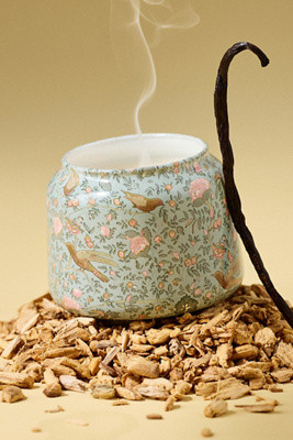 Printed Mini Gather Candle by Anthropologie: Woody Sandalwood & Vanilla | Anthropologie (US)