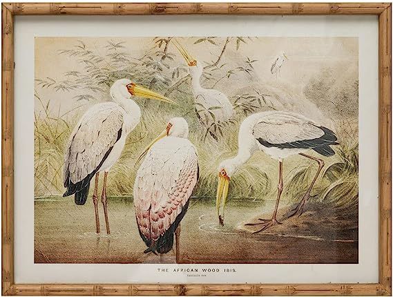 Creative Co-Op Wood Faux Bamboo Framed Glass Vintage Reproduction Storks Image Wall Art and Déco... | Amazon (US)