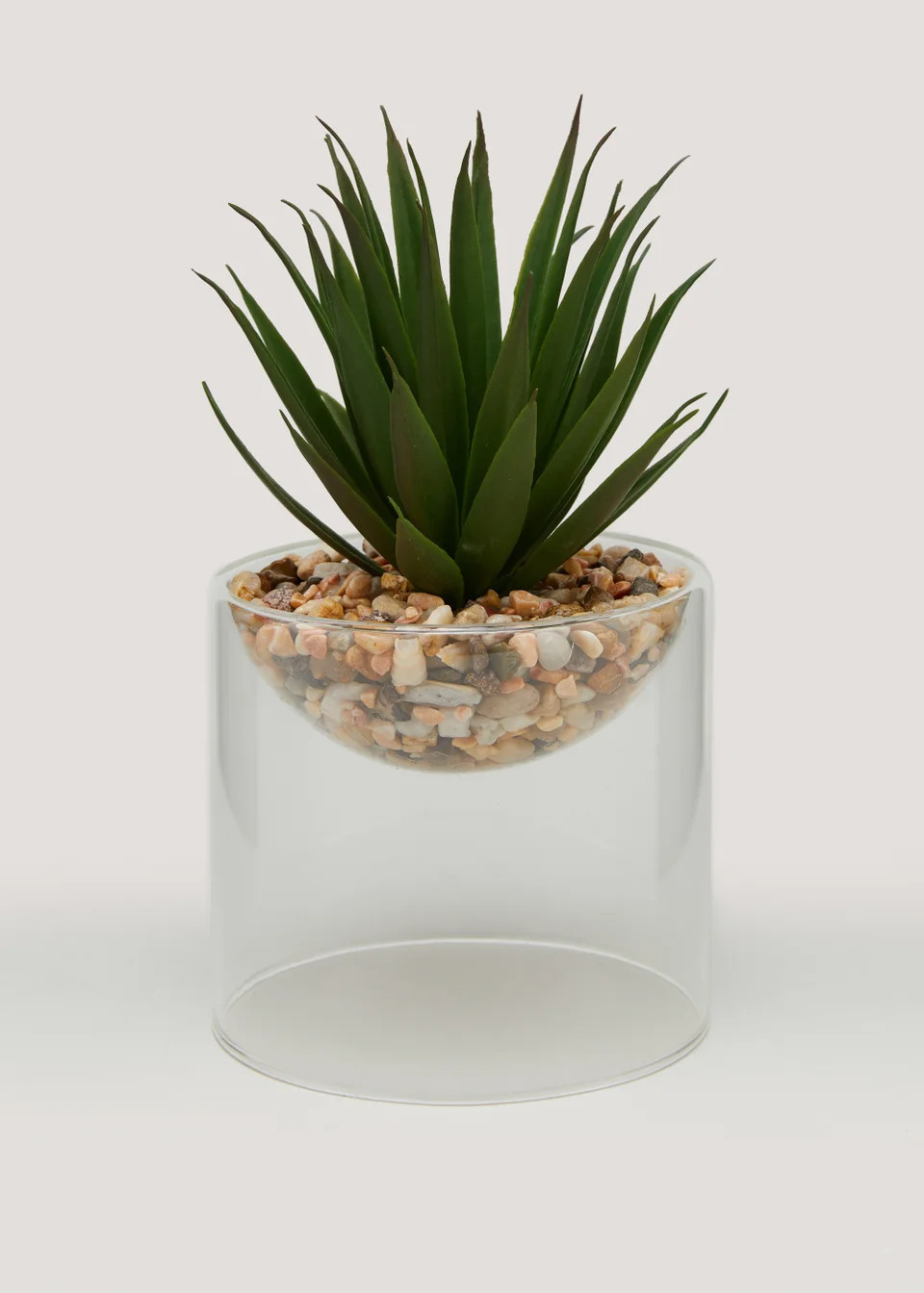 Spikey Plant in Glass Pot (18cm x 10cm) | Matalan (UK)
