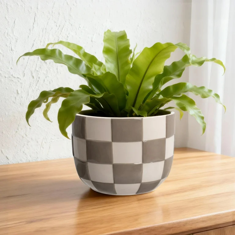 $11.88$1188 | Walmart (US)