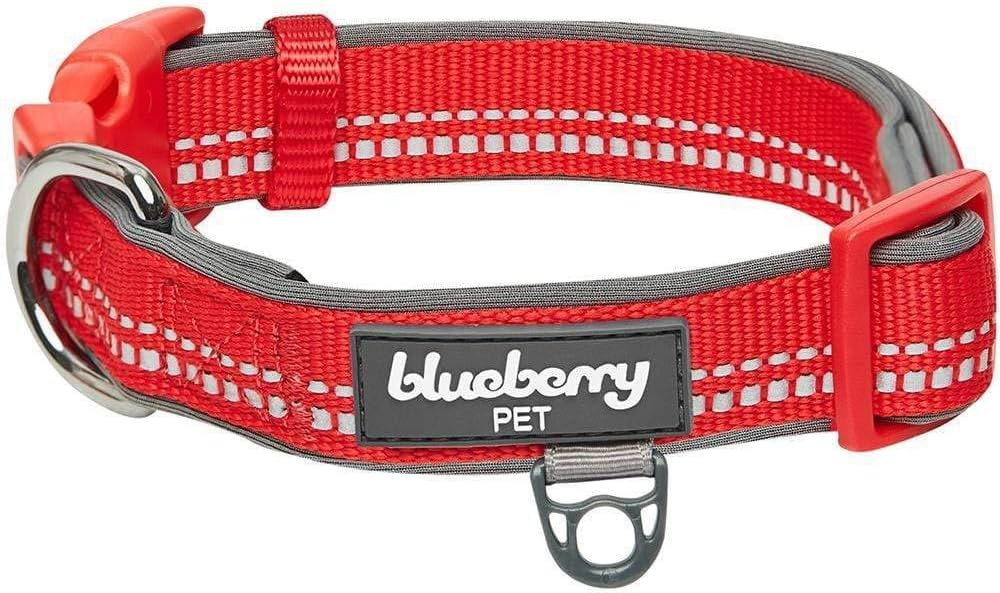 Blueberry Pet Soft & Safe 3M Reflective Neoprene Padded Adjustable Dog Collar - Red Pastel Color,... | Amazon (US)
