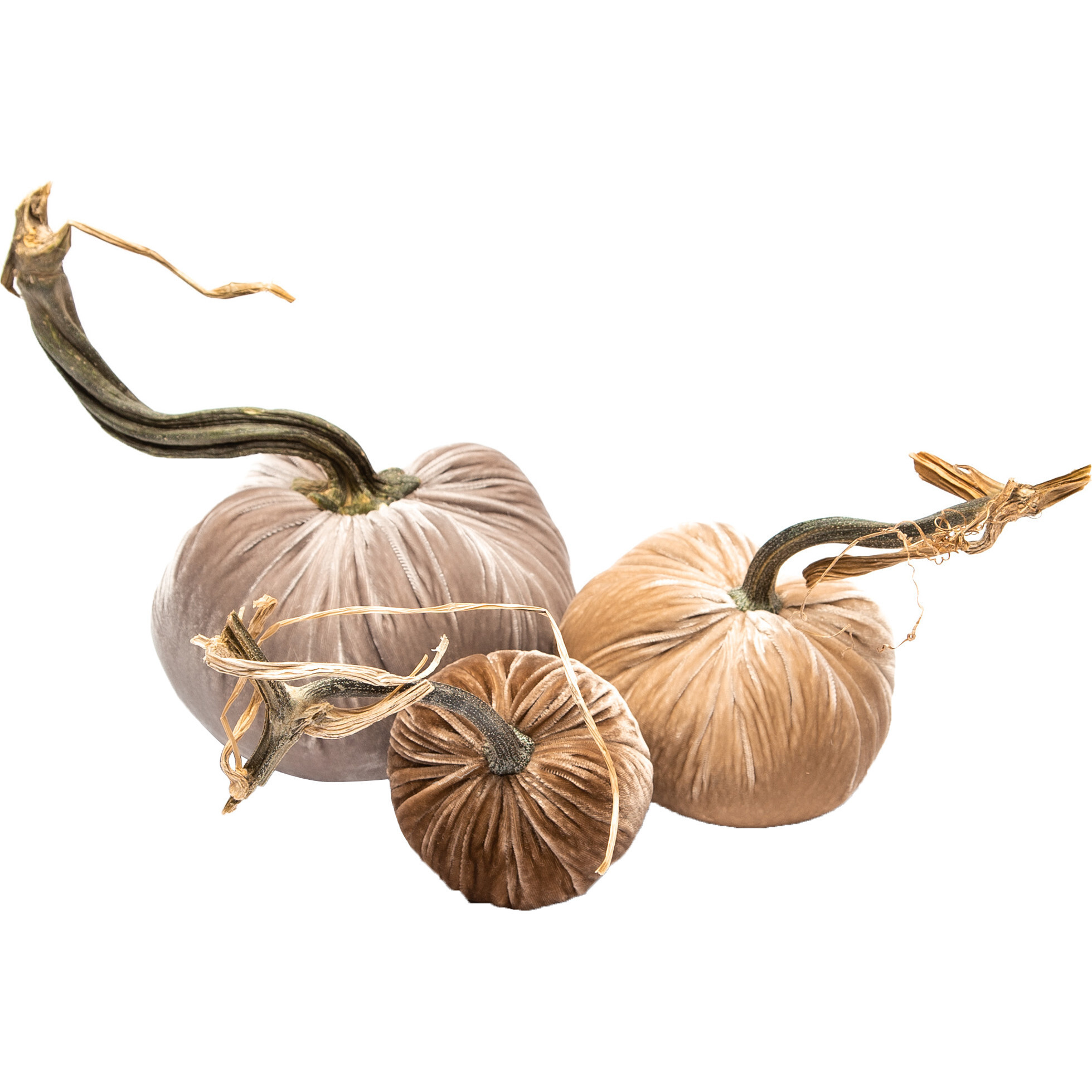 Exclusive  Pumpkin Trio, Beige | Maisonette