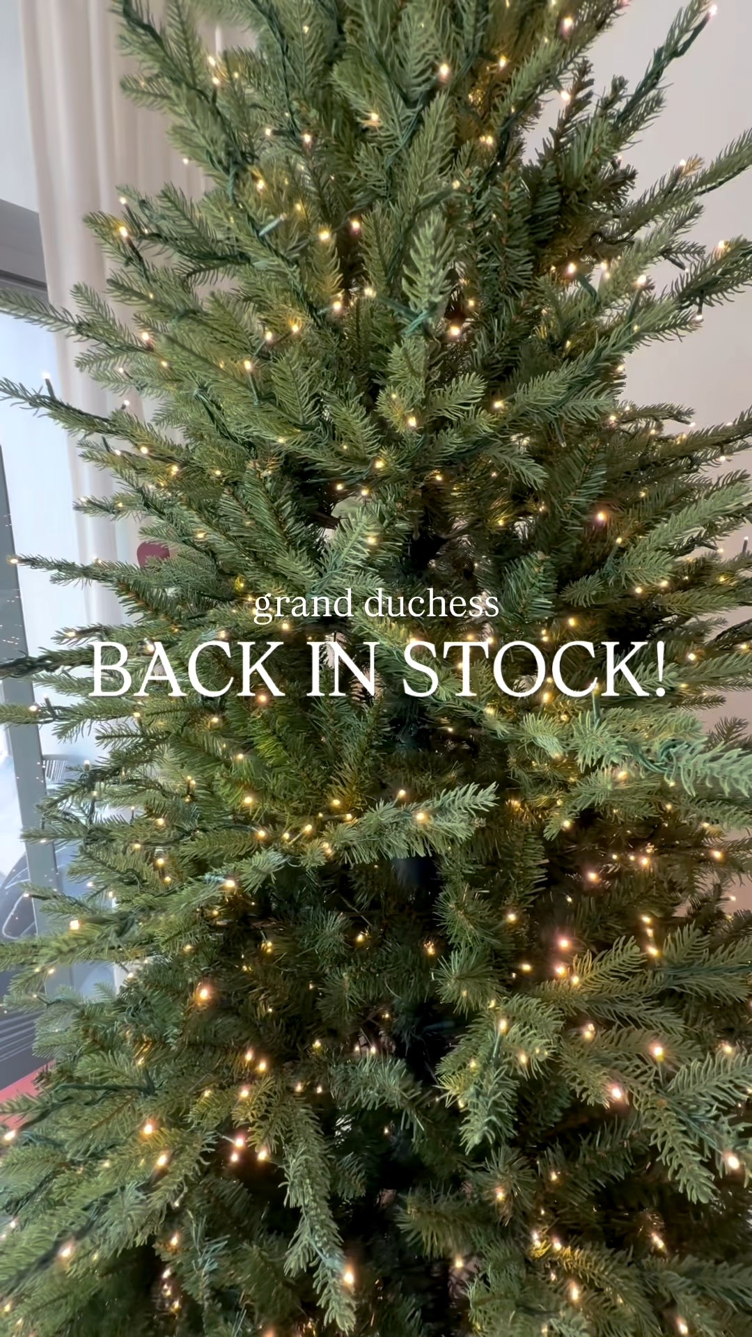 The viral Grand Duchess Christmas tree is finally back in stock at Home Depot and it’s even more stunning in person. This tree sells out every year thanks to its full, realistic branches, soft warm lights, and that designer look that instantly elevates any space. If you’ve been waiting to snag it for your holiday setup, now’s the time — it will not stay in stock long. I linked it directly for easy shopping. target finds, amazon finds, walmart home, affordable home, cb2 dupe, studio mcgee, crate and barrel dupe, pottery barn dupe, home roundup, target home decor, target home, amazon home, walmart finds 

#LTKSaleAlert #LTKSeasonal #LTKHome