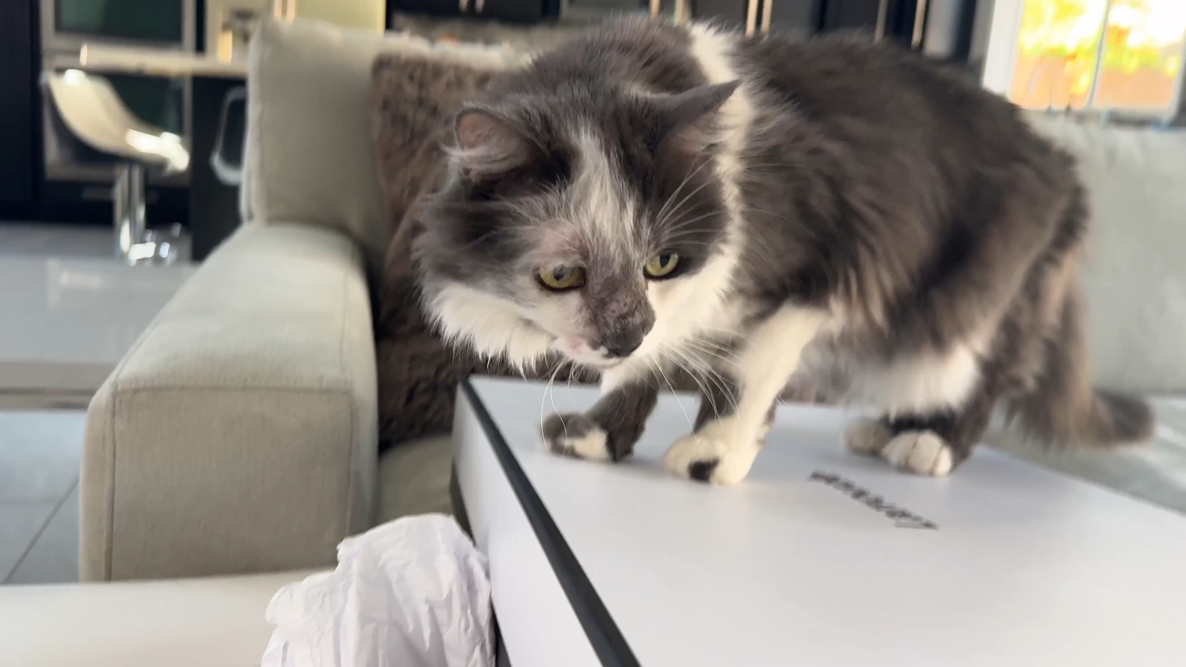 We can’t wait to show you what’s in this Larroude shoes box (full review on my YouTube channel @evedawes). Spoiler alert they’re cream / ivory leather over the knee boots. So I’ll share how they fit, ideas for how to style them (think leggings and sweater dresses or skinny jeans and longer length sweaters) and their quality. The Larrroude Kate boots also come in a knee high boots version.

#LTKVideo #LTKShoeCrush #LTKStyleTip