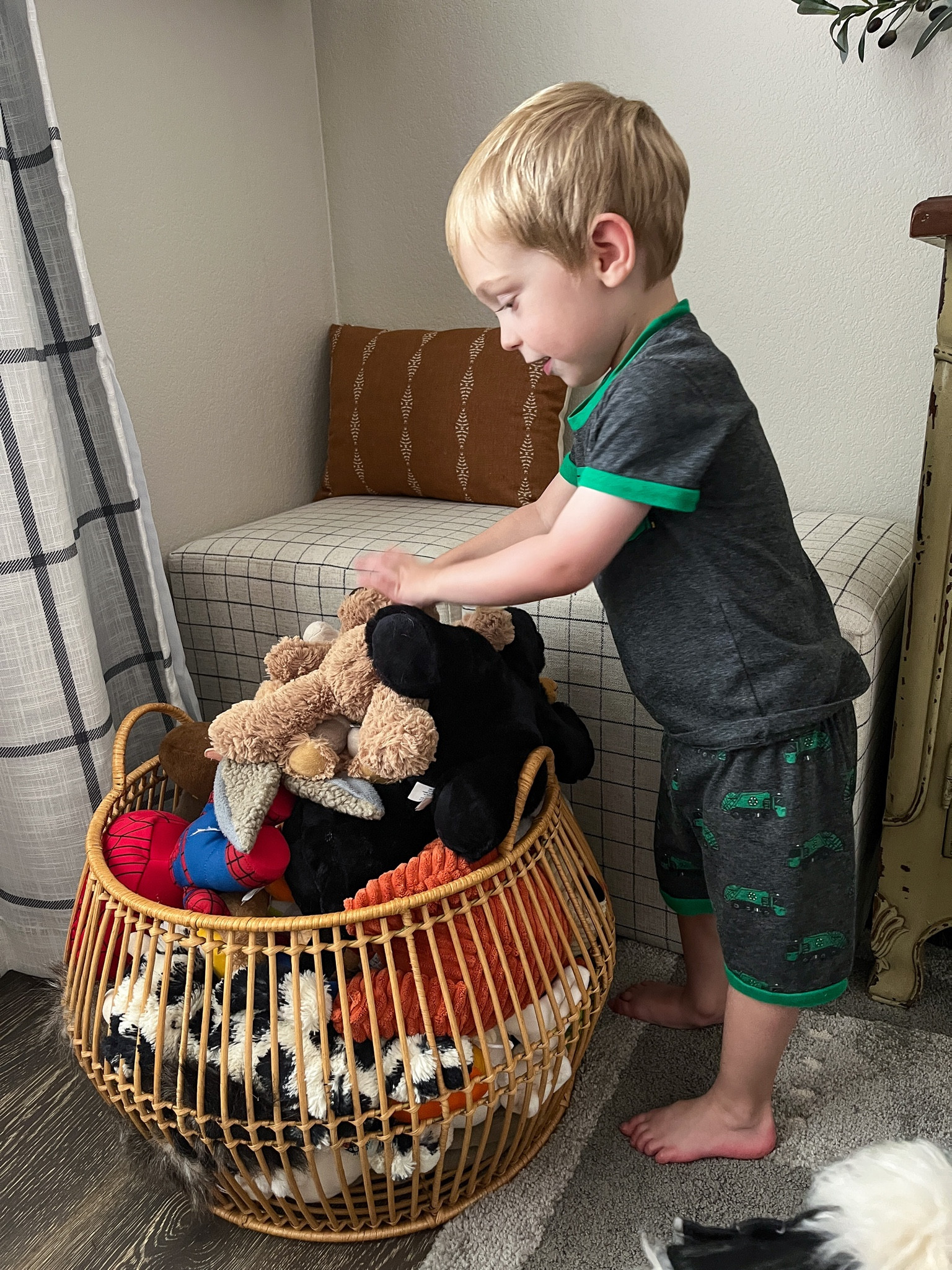 Stuffed animal storage in kids room! 

#LTKkids #LTKfamily #LTKhome