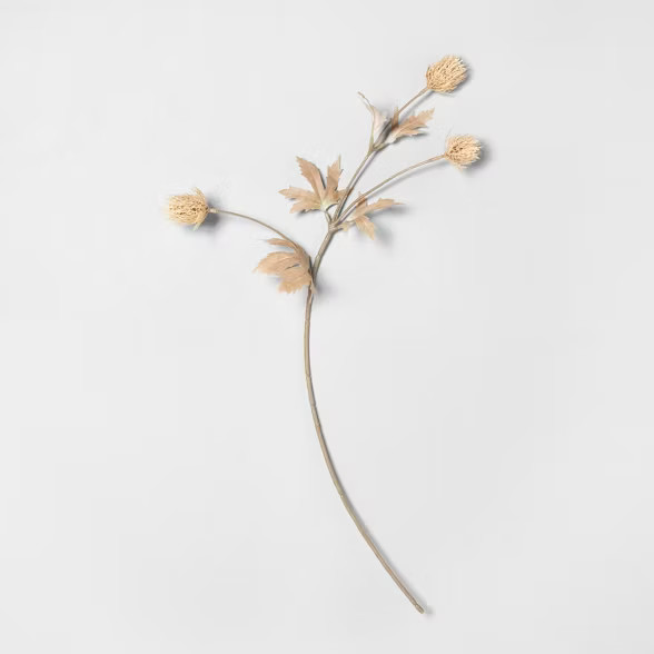 25" Faux Bleached Thistle Stem - Hearth & Hand™ with Magnolia | Target